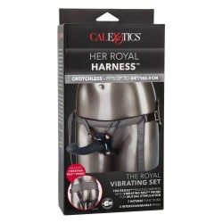 Détail des boucles et anneaux sans nickel du harnais CalExotics