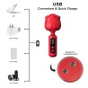 Câble de recharge USB fourni avec le vibrateur rechargeable