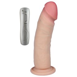 ventouse à la base permettant une fixation sur surface lisse
